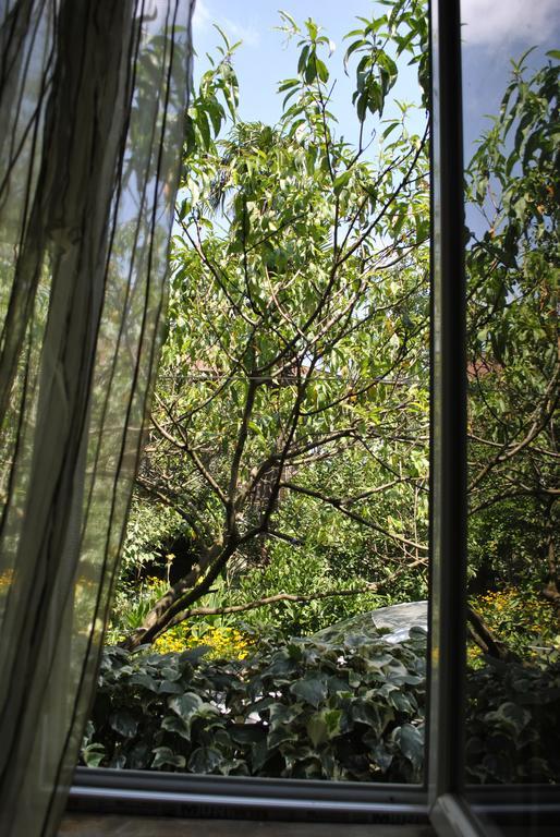 Colibri Home Kutaisi Zewnętrze zdjęcie