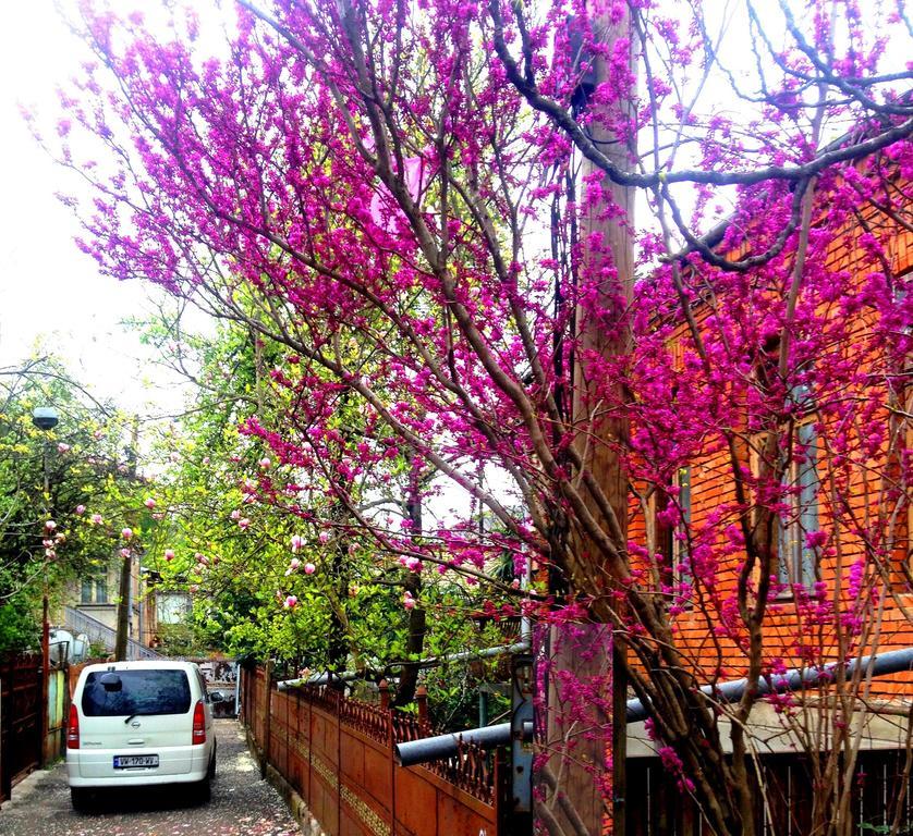 Colibri Home Kutaisi Zewnętrze zdjęcie
